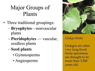 The6 Kingdoms.ClassificationNotes#4