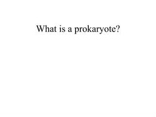 The6 Kingdoms.ClassificationNotes#4