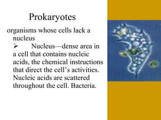 The6 Kingdoms.ClassificationNotes#4