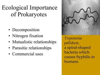 The6 Kingdoms.ClassificationNotes#4