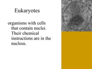 The6 Kingdoms.ClassificationNotes#4