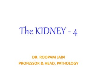The KIDNEY - 4
DR. ROOPAM JAIN
PROFESSOR & HEAD, PATHOLOGY
 
