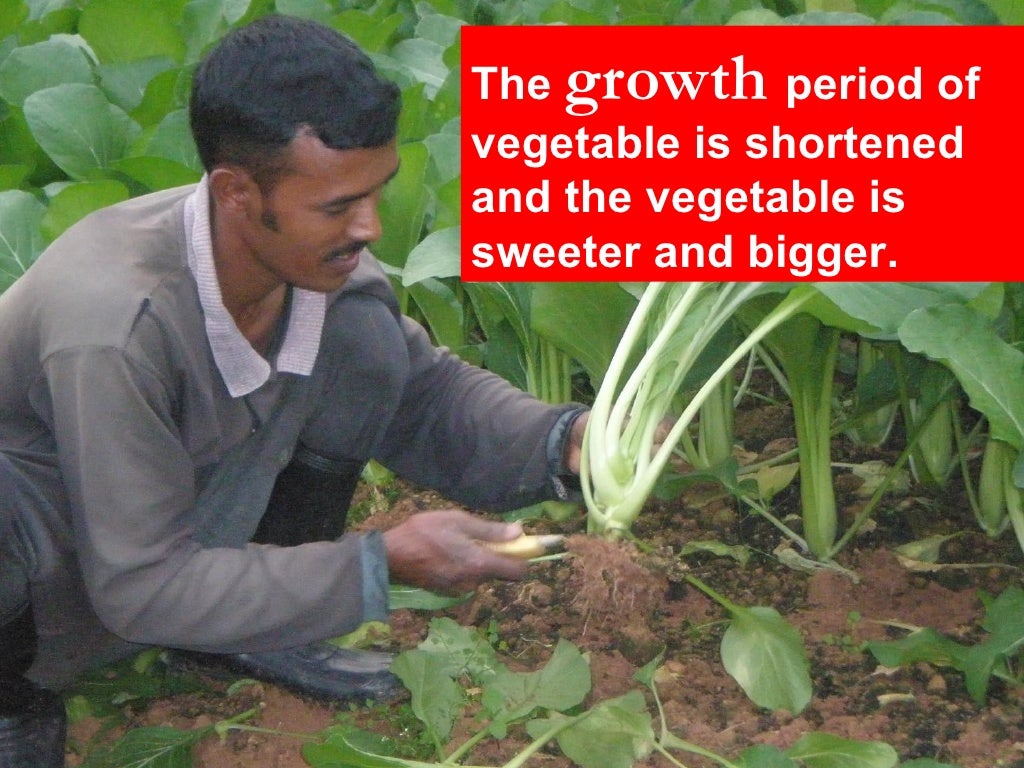 4. The Role Of Enzyme In Agriculture