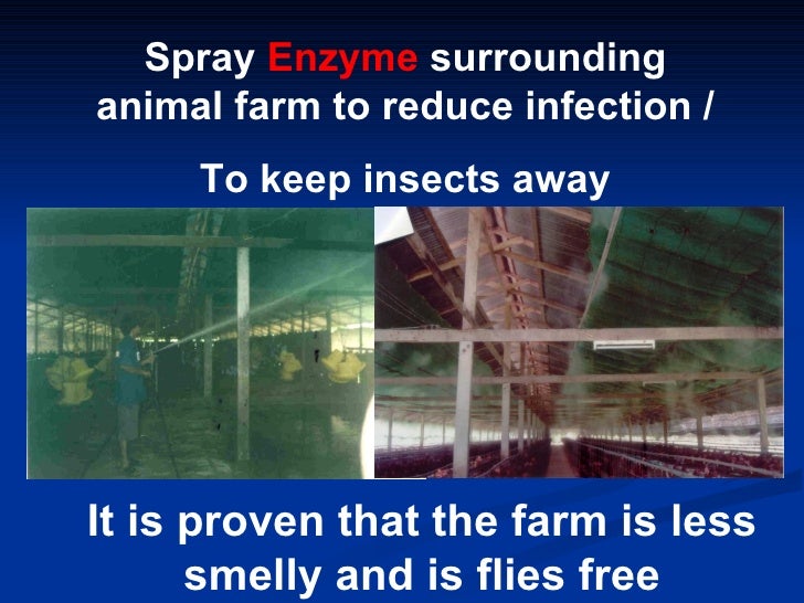 4. The Role Of Enzyme In Agriculture