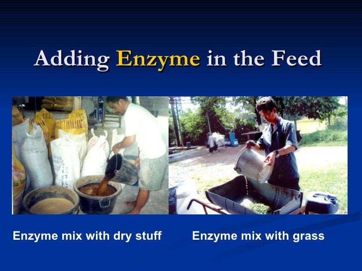4. The Role Of Enzyme In Agriculture