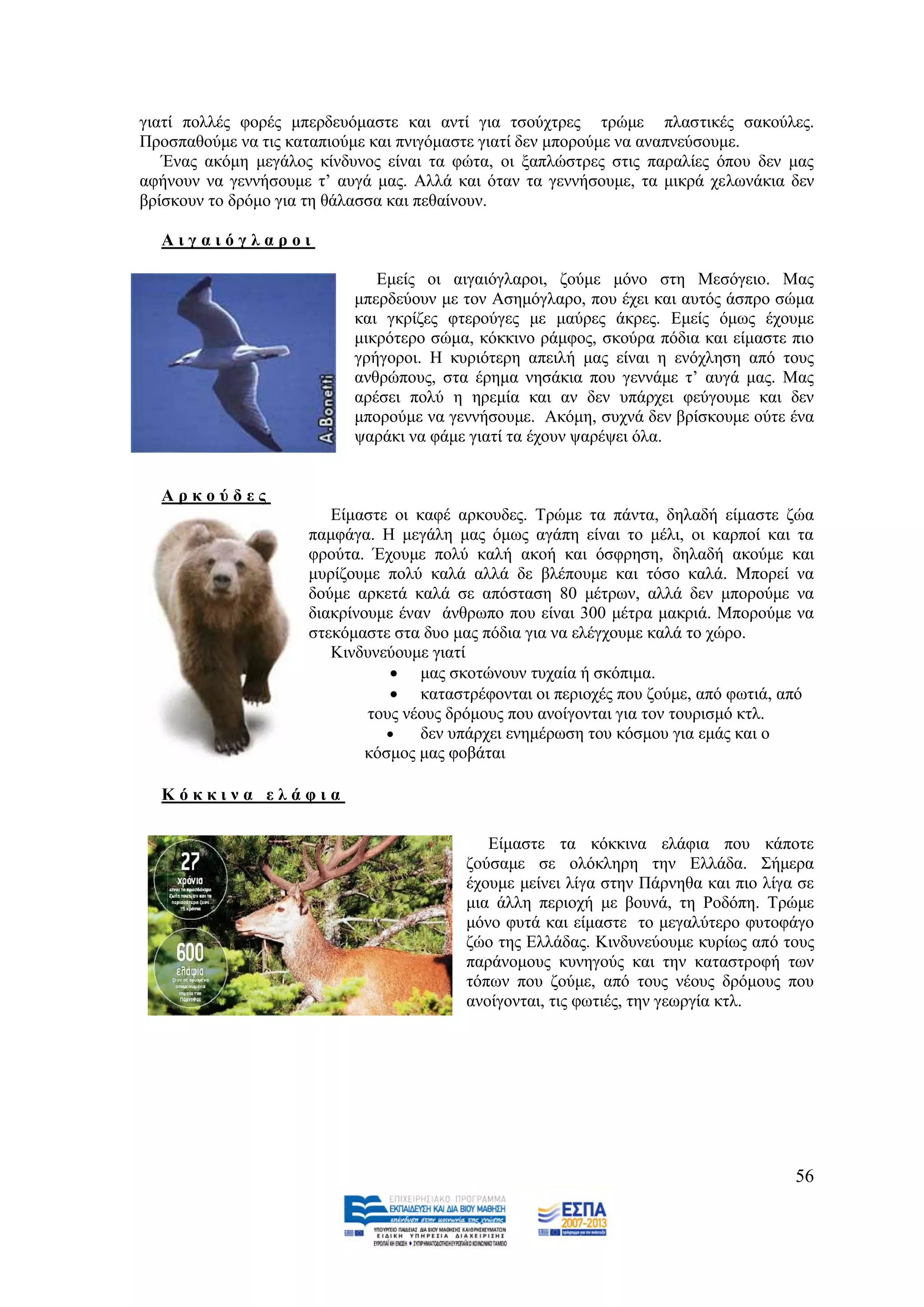 γηαηί πνιιέο θνξέο κπεξδεπφκαζηε θαη αληί γηα ηζνχρηξεο ηξψκε πιαζηηθέο ζαθνχιεο.
Πξνζπαζνχκε λα ηηο θαηαπηνχκε θαη πληγφκαζηε γηαηί δελ κπνξνχκε λα αλαπλεχζνπκε.
   Έλαο αθφκε κεγάινο θίλδπλνο είλαη ηα θψηα, νη μαπιψζηξεο ζηηο παξαιίεο φπνπ δελ καο
αθήλνπλ λα γελλήζνπκε η’ απγά καο. Αιιά θαη φηαλ ηα γελλήζνπκε, ηα κηθξά ρεισλάθηα δελ
βξίζθνπλ ην δξφκν γηα ηε ζάιαζζα θαη πεζαίλνπλ.

  Αηγαηόγιαξνη

                              Δκείο νη αηγαηφγιαξνη, δνχκε κφλν ζηε Μεζφγεην. Μαο
                           κπεξδεχνπλ κε ηνλ Αζεκφγιαξν, πνπ έρεη θαη απηφο άζπξν ζψκα
                           θαη γθξίδεο θηεξνχγεο κε καχξεο άθξεο. Δκείο φκσο έρνπκε
                           κηθξφηεξν ζψκα, θφθθηλν ξάκθνο, ζθνχξα πφδηα θαη είκαζηε πην
                           γξήγνξνη. Ζ θπξηφηεξε απεηιή καο είλαη ε ελφριεζε απφ ηνπο
                           αλζξψπνπο, ζηα έξεκα λεζάθηα πνπ γελλάκε η’ απγά καο. Μαο
                           αξέζεη πνιχ ε εξεκία θαη αλ δελ ππάξρεη θεχγνπκε θαη δελ
                           κπνξνχκε λα γελλήζνπκε. Αθφκε, ζπρλά δελ βξίζθνπκε νχηε έλα
                           ςαξάθη λα θάκε γηαηί ηα έρνπλ ςαξέςεη φια.


  Αξθνύδεο
                        Δίκαζηε νη θαθέ αξθνπδεο. Σξψκε ηα πάληα, δειαδή είκαζηε δψα
                     πακθάγα. Ζ κεγάιε καο φκσο αγάπε είλαη ην κέιη, νη θαξπνί θαη ηα
                     θξνχηα. Έρνπκε πνιχ θαιή αθνή θαη φζθξεζε, δειαδή αθνχκε θαη
                     κπξίδνπκε πνιχ θαιά αιιά δε βιέπνπκε θαη ηφζν θαιά. Μπνξεί λα
                     δνχκε αξθεηά θαιά ζε απφζηαζε 80 κέηξσλ, αιιά δελ κπνξνχκε λα
                     δηαθξίλνπκε έλαλ άλζξσπν πνπ είλαη 300 κέηξα καθξηά. Μπνξνχκε λα
                     ζηεθφκαζηε ζηα δπν καο πφδηα γηα λα ειέγρνπκε θαιά ην ρψξν.
                        Κηλδπλεχνπκε γηαηί
                                 καο ζθνηψλνπλ ηπραία ή ζθφπηκα.
                                 θαηαζηξέθνληαη νη πεξηνρέο πνπ δνχκε, απφ θσηηά, απφ
                             ηνπο λένπο δξφκνπο πνπ αλνίγνληαη γηα ηνλ ηνπξηζκφ θηι.
                                   δελ ππάξρεη ελεκέξσζε ηνπ θφζκνπ γηα εκάο θαη ν
                             θφζκνο καο θνβάηαη

  Κόθθηλα ειάθηα

                                            Δίκαζηε ηα θφθθηλα ειάθηα πνπ θάπνηε
                                         δνχζακε ζε νιφθιεξε ηελ Διιάδα. ΢ήκεξα
                                         έρνπκε κείλεη ιίγα ζηελ Πάξλεζα θαη πην ιίγα ζε
                                         κηα άιιε πεξηνρή κε βνπλά, ηε Ρνδφπε. Σξψκε
                                         κφλν θπηά θαη είκαζηε ην κεγαιχηεξν θπηνθάγν
                                         δψν ηεο Διιάδαο. Κηλδπλεχνπκε θπξίσο απφ ηνπο
                                         παξάλνκνπο θπλεγνχο θαη ηελ θαηαζηξνθή ησλ
                                         ηφπσλ πνπ δνχκε, απφ ηνπο λένπο δξφκνπο πνπ
                                         αλνίγνληαη, ηηο θσηηέο, ηελ γεσξγία θηι.




                                                                                     56
 