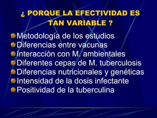 ¿ PORQUE LA EFECTIVIDAD ES TAN VARIABLE ? Metodología de los estudios Diferencias entre vacunas Interacción con M. ambientales Diferentes cepas de M. tuberculosis Diferencias nutricionales y genéticas Intensidad de la dosis infectante Positividad de la tuberculina 