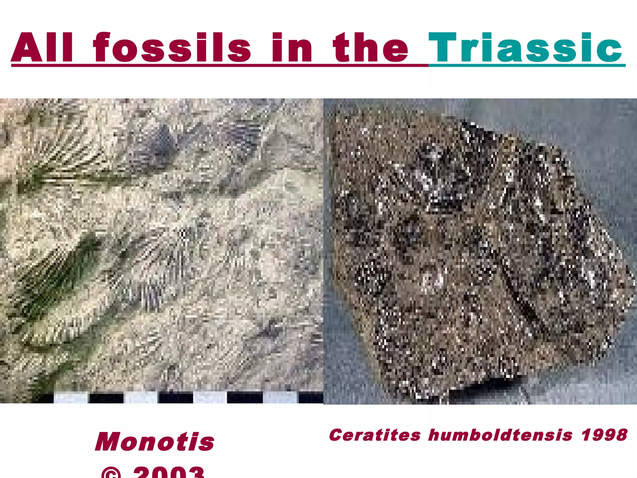 Triassic-Jurassic Periods | PPT