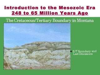 Introduction to the Mesozoic Era
248 to 65 Million Years Ago
 