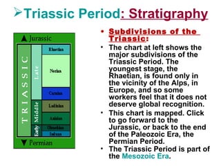 Triassic Period: Stratigraphy
• Subdivisions of the
Triassic:
• The chart at left shows the
major subdivisions of the
Triassic Period. The
youngest stage, the
Rhaetian, is found only in
the vicinity of the Alps, in
Europe, and so some
workers feel that it does not
deserve global recognition.
• This chart is mapped. Click
to go forward to the
Jurassic, or back to the end
of the Paleozoic Era, the
Permian Period.
• The Triassic Period is part of
the Mesozoic Era. 
 