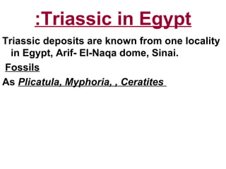 Triassic in Egypt:
Triassic deposits are known from one locality
in Egypt, Arif- El-Naqa dome, Sinai.
Fossils
As Plicatula, Myphoria, , Ceratites
 