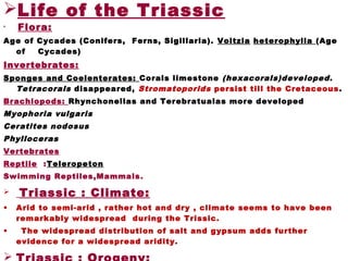 • Flora:
Age of Cycades (Conifers, Ferns, Sigillaria). Voltzia heterophylla (Age
of Cycades)
Invertebrates:
Sponges and Coelenterates: Corals limestone (hexacorals)developed.
Tetracorals disappeared, Stromatoporids persist till the Cretaceous.
Brachiopods: Rhynchonellas and Terebratualas more developed
Myophoria vulgaris
Ceratites nodosus
Phylloceras
Vertebrates
Reptile :Teleropeton
Swimming Reptiles,Mammals.
 Triassic : Climate:
• Arid to semi-arid , rather hot and dry , climate seems to have been
remarkably widespread during the Trissic.
• The widespread distribution of salt and gypsum adds further
evidence for a widespread aridity.

Life of the Triassic
 