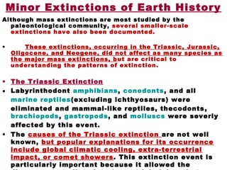 Minor Extinctions of Earth History
Although mass extinctions are most studied by the
paleontological community, several smaller-scale
extinctions have also been documented.
• These extinctions, occurring in the Triassic, Jurassic,
Oligocene, and Neogene, did not affect as many species as
the major mass extinctions, but are critical to
understanding the patterns of extinction.
• The Triassic Extinction
• Labyrinthodont amphibians, conodonts, and all
marine reptiles(excluding ichthyosaurs) were
eliminated and mammal-like reptiles, thecodonts,
brachiopods, gastropods, and molluscs were severly
affected by this event.
• The causes of the Triassic extinction are not well
known, but popular explanations for its occurrence
include global climatic cooling, extra-terrestrial
impact, or comet showers. This extinction event is
particularly important because it allowed the
 