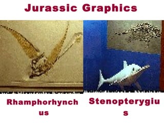  Rhamphorhynch
us
 Stenopterygiu
s
Jurassic Graphics
 