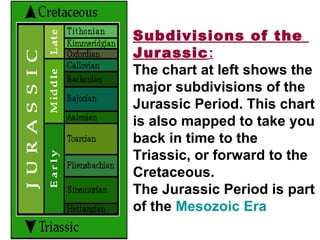 Subdivisions of the
Jurassic:
The chart at left shows the
major subdivisions of the
Jurassic Period. This chart
is also mapped to take you
back in time to the
Triassic, or forward to the
Cretaceous.
The Jurassic Period is part
of the Mesozoic Era
 