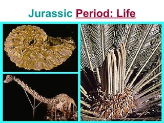 Jurassic Period: Life
 