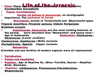 Life of the Jurassic Flora: Flora: Age of Cycades (Conifers, Ferns, Cycades).
Cycadeoidea microphylla
 Fauna: Invertebrates:
 Corals: all belong to hexacorals, no stratigraphic
importance. The profusion of Corals
 Braciopods, mostly of Terebratulla and Rhynconella types
Trigonia monilifara, Plicatula spinosa, Cidaris florigemma
Gryphaea arcuata
 Cephalopods, Ammonites are the most striking features of
the period, more abundant than "Belemnites" and hence term :
Age of Ammonites Ammonites: Phylloceras ,
Harpoceras (Lower Jurassic)
Cosmoceras, Aspidocras ( Midle Jurassic(
Perisphinctes, Oppelia (Upper Jurassic(
 Belemnites
Crinoides and sea Urchins of modern aspects were all represented
 Vertebrates:
 Fishes and Amphibian
 Reptiles , Age of Reptiles Ex. (Dino—Terrible, Saures ---Reptile)-
Birds- Mammals.
  Reptiles: Ichthysaurus, Plesiosaurus,Pteroidactylus,
Megalosaurus
 