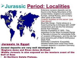 Jurassic Period: Localities
Extensive Jurassic deposits can be
found in the Rocky Mountains of the
United States, England and western
Europe, central Russia, and in many
other parts of the world
Jurassic localities on this server: (see
map above)
Blue Nile Gorge - Come along on a
fossil-hunting trip to Ethiopia with UCMP
researchers and see the first dinosaur
fossils from Ethiopia.
Saurian Expedition of 1905 - This
expedition to the West Humboldt Range
in Nevada is known for remarkable finds
of Jurassic ichthyosaurs, and the site has
since become part of Berlin-Ichthyosaur
State Park.
Solnhofen Limestone -Exquisitely
detailed fossils have come from these
Jurassic deposits in southern Germany.Jurassic in Egypt:
Jurassi deposits are very well developed in :-
•Maghara dome and Risan Aniza (N.Sinai)
•Middle Jurassic is also exposed on the western coast of the
Gulf of Suez
• At Northern Galala Plateau.
 