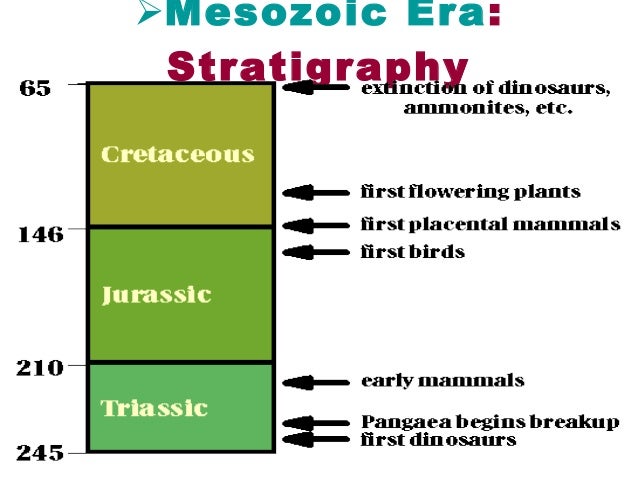 Mesozoic Era Chart