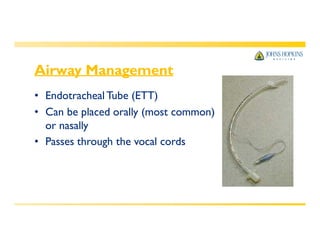 Airway Management
• Endotracheal Tube (ETT)
• Can be placed orally (most common)
or nasally
• Passes through the vocal cords
 
