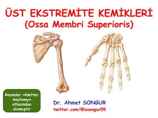 ÜST EKSTREMİTE KEMİKLERİ
(Ossa Membri Superioris)
Dr. Ahmet SONGUR
twitter.com/@asongur55
Resimler «Netter
Anatomy»
atlasından
alınmıştır
 