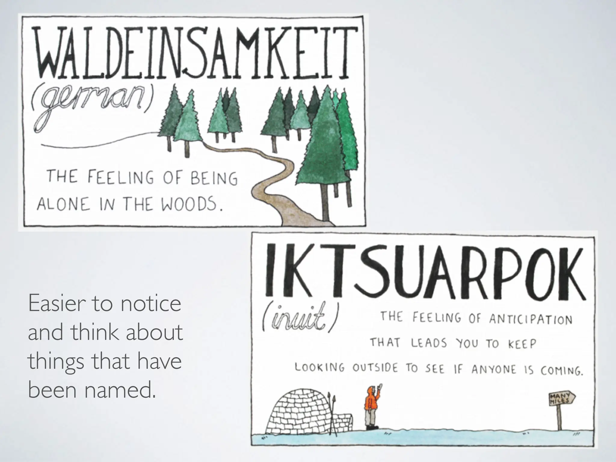 Easier to notice
and think about
things that have
been named.
 