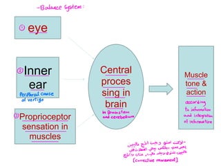 Inner
ear
Central
proces
sing in
brain
eye
Proprioceptor
sensation in
muscles
Muscle
tone &
action
Balancesystem
Peripheralcause
ofVertigo
according
toinformation
inBrainstem
and
cerebellum andintegration
ofinformation
ids 1 Ias I od
di Idi Is WH E's
to ow wsisms Itf
correctivemovement
 