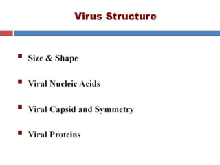  VIRAL GENETICS.pptx