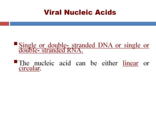  VIRAL GENETICS.pptx