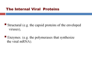  VIRAL GENETICS.pptx