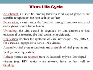  VIRAL GENETICS.pptx