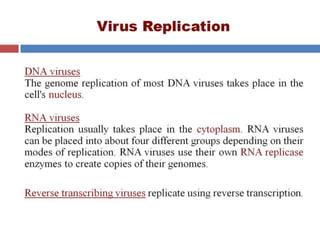  VIRAL GENETICS.pptx