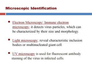  VIRAL GENETICS.pptx