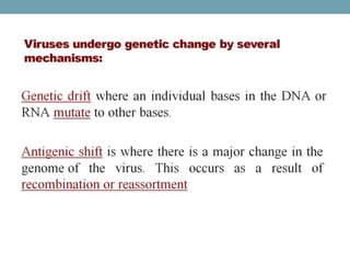  VIRAL GENETICS.pptx