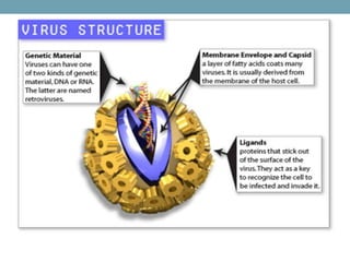  VIRAL GENETICS.pptx