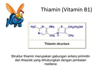 Thiamin (Vitamin B1)




Struktur thiamin merupakan gabungan antara pirimidin
   dan thiazole yang dihubungkan dengan jembatan
                       metilene
 