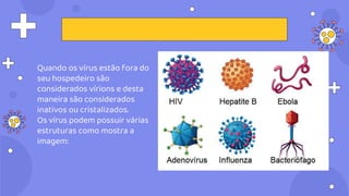 Quando os vírus estão fora do
seu hospedeiro são
considerados vírions e desta
maneira são considerados
inativos ou cristalizados.
Os vírus podem possuir várias
estruturas como mostra a
imagem:
 