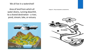 We all live in a watershed!
Area of land from which all
water drains, running downhill,
to a shared destination - a river,
pond, stream, lake, or estuary
 