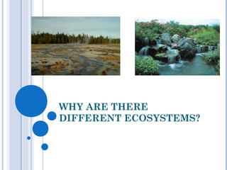 WHY ARE THERE
DIFFERENT ECOSYSTEMS?
 