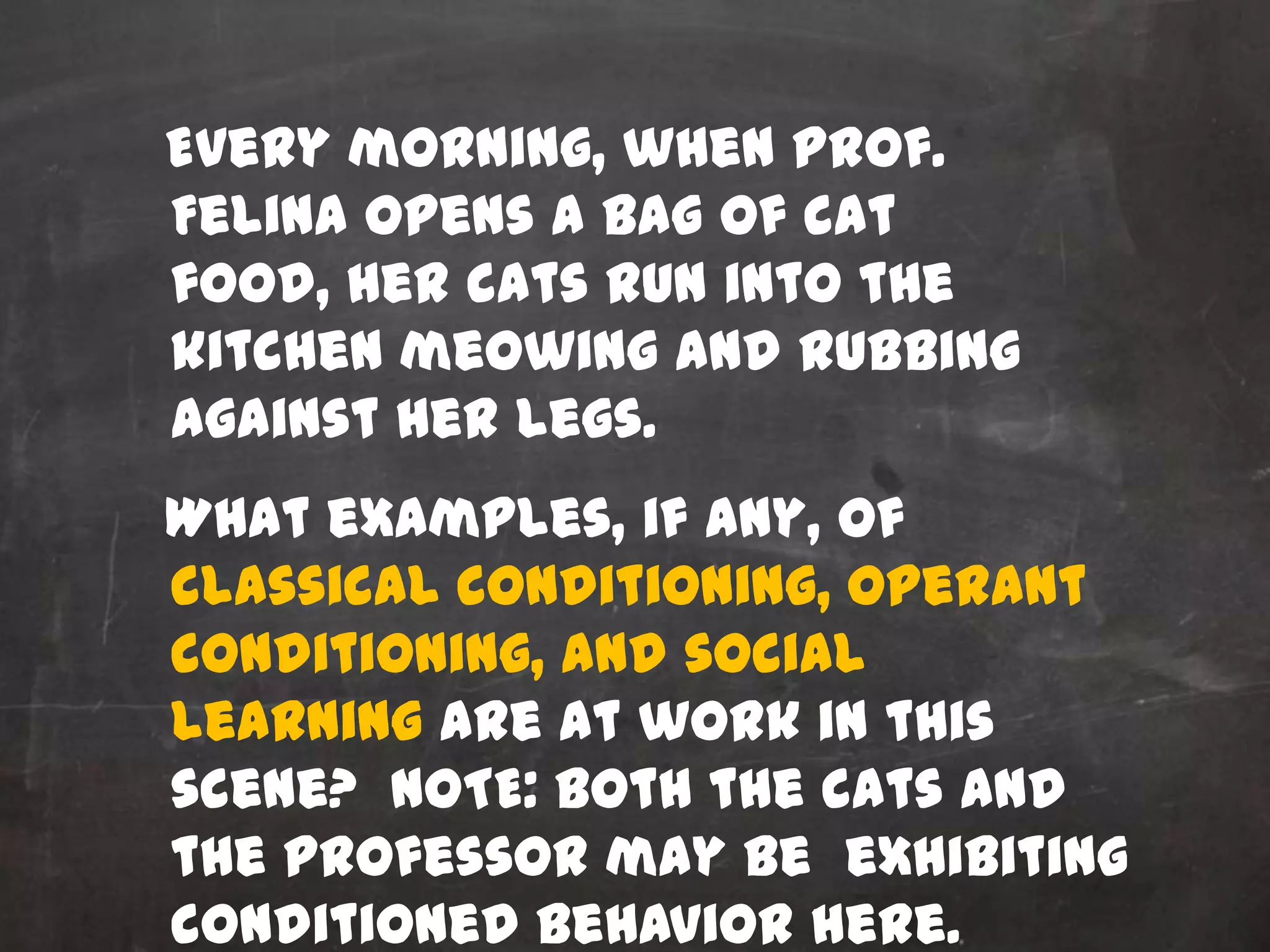 Every morning, when Prof.
Felina opens a bag of cat
food, her cats run into the
kitchen meowing and rubbing
against her legs.
What examples, if any, of
classical conditioning, operant
conditioning, and social
learning are at work in this
scene? NOTE: both the cats and
the professor may be exhibiting
conditioned behavior here.
 