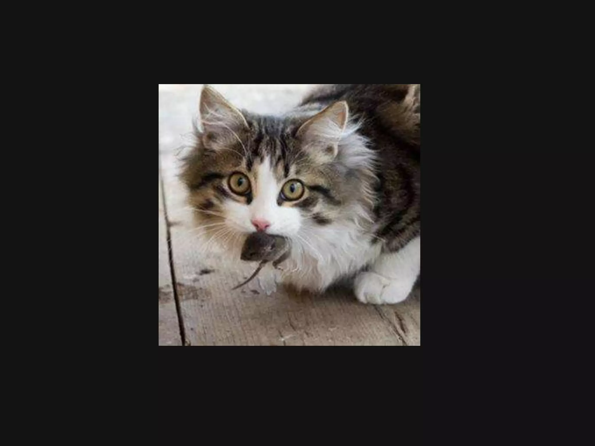 Writing-Intensive Teaching & Learning