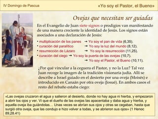 IV Domingo de Pascua « Yo soy el Pastor, el Bueno » En el Evangelio de Juan  siete signos   o prodigios   van manifestando de una manera creciente la identidad de Jesús. Los signos están asociados a una declaración de Jesús: multiplicación de los panes      Yo soy el pan de vida  (6,35).  curación del paralítico      Yo soy la luz del mundo  (8,12). resurrección de Lázaro      Yo soy la resurrección  (11,25). curación del ciego      Yo soy la puerta de las ovejas   (10,7).    Yo soy el Pastor, el Bueno   (10,11). ¿Por qué vincular a la ceguera el Pastor, y no la Luz? Tal vez Juan recoge la imagen de la tradición visionaria judía. Allí se describe a Israel guiado en el desierto por una oveja (Moisés) e introducido en Canaán por otra oveja (Josué). En ambos casos el resto del rebaño estaba ciego: « Las ovejas cruzaron el agua y salieron al desierto, donde no hay agua ni hierba, y empezaron a abrir los ojos y ver. Vi que el dueño de las ovejas las apacentaba y daba agua y hierba, y aquella oveja iba guiándolas… Unas veces se abrían sus ojos y otras se cegaban, hasta que surgió otra oveja, que las condujo e hizo volver a todas, y se abrieron sus ojos » (1 Henoc 89,28.41) Ovejas que necesitan ser guiadas 