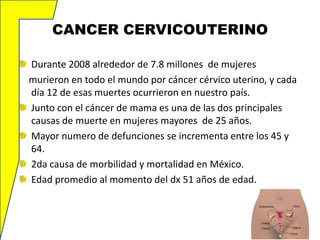 CANCER CERVICOUTERINO
Durante 2008 alrededor de 7.8 millones de mujeres
murieron en todo el mundo por cáncer cérvico uterino, y cada
día 12 de esas muertes ocurrieron en nuestro país.
Junto con el cáncer de mama es una de las dos principales
causas de muerte en mujeres mayores de 25 años.
Mayor numero de defunciones se incrementa entre los 45 y
64.
2da causa de morbilidad y mortalidad en México.
Edad promedio al momento del dx 51 años de edad.

 