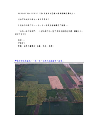 06:36~06:4406:36~06:4406:36~06:4406:36~06:44（（（（2013.02.172013.02.172013.02.172013.02.17），這裡的），這裡的），這裡的），這裡的 8888 分鐘，熱氣球飄在農田上。分鐘，熱氣球飄在農田上。分鐘，熱氣球飄在農田上。分鐘，熱氣球飄在農田上。
這時所鳥瞰到的農地，實在是優美！
生意盎然的農作物，一畦一畦，似為大地鋪綠色「地毯」似為大地鋪綠色「地毯」似為大地鋪綠色「地毯」似為大地鋪綠色「地毯」。
「地毯」顏色深淺不一，上面的農作物，除了最容易辨認的甘蔗、椰棗甘蔗、椰棗甘蔗、椰棗甘蔗、椰棗之外，
還有什麼呢？
我猜…。
可能有：
牧草（埃及三葉草）、小麥、玉米牧草（埃及三葉草）、小麥、玉米牧草（埃及三葉草）、小麥、玉米牧草（埃及三葉草）、小麥、玉米、、、、棉花棉花棉花棉花。
▼農作物生意盎然，一畦一畦，似為大地鋪綠色「地毯」
 
