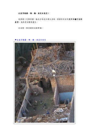 在屋頂養雞、在屋頂養雞、在屋頂養雞、在屋頂養雞、鴨、鵝，真是有意思！鴨、鵝，真是有意思！鴨、鵝，真是有意思！鴨、鵝，真是有意思！
我曾看三毛寫的書，她在沙哈拉沙漠生活時，曾看到有居民把羊和驢子拉到把羊和驢子拉到把羊和驢子拉到把羊和驢子拉到
屋頂，屋頂，屋頂，屋頂，為的是怕動物遺失。
在這裡，倒沒看到這番景緻。
▼在屋頂養雞、鴨、鵝，真是有意思
 