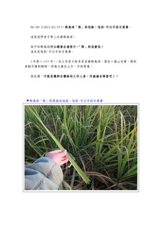 06:58~06:58~06:58~06:58~（（（（2013.02.172013.02.172013.02.172013.02.17），熱氣球「降」到低點，低到），熱氣球「降」到低點，低到），熱氣球「降」到低點，低到），熱氣球「降」到低點，低到----可以手採甘蔗葉可以手採甘蔗葉可以手採甘蔗葉可以手採甘蔗葉。
這是我們母子第二次搭熱氣球。
我不知熱氣球何以總要在過程中，「降」到這麼低何以總要在過程中，「降」到這麼低何以總要在過程中，「降」到這麼低何以總要在過程中，「降」到這麼低？
這次是低到-可以手採甘蔗葉。
4 年前（2009 年），在土耳其卡帕多其亞搭熱氣球，曾在一個山谷裡，降到
差點可摸到樹稍，然後又漸次上升，升的更高。
我在猜，可能是機師在聯絡的工作人員，何處適合降落吧！可能是機師在聯絡的工作人員，何處適合降落吧！可能是機師在聯絡的工作人員，何處適合降落吧！可能是機師在聯絡的工作人員，何處適合降落吧！？
▼熱氣球「降」到很接近地面，低到-可以手採甘蔗葉
 