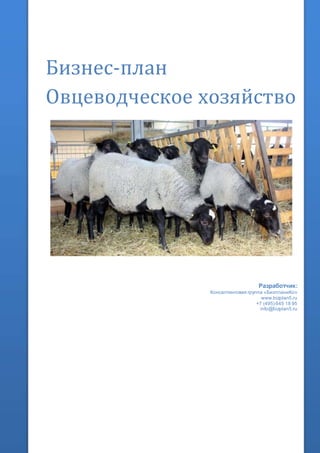 Бизнес-план
Овцеводческое хозяйство
Разработчик:
Консалтинговая группа «БизпланиКо»
www.bizplan5.ru
+7 (495) 645 18 95
info@bizplan5.ru
 