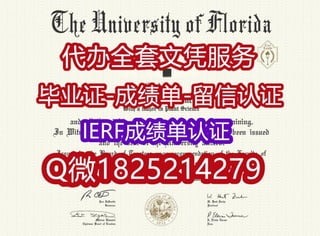 国外名校保录就读美国佛罗里达大学毕业证书复刻
