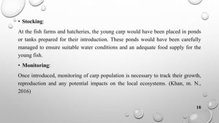 Common carp introduction & Morphology and its behaviour characteristics ...