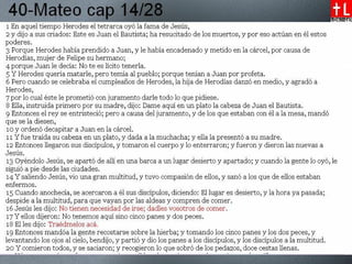 40-28-Mateo